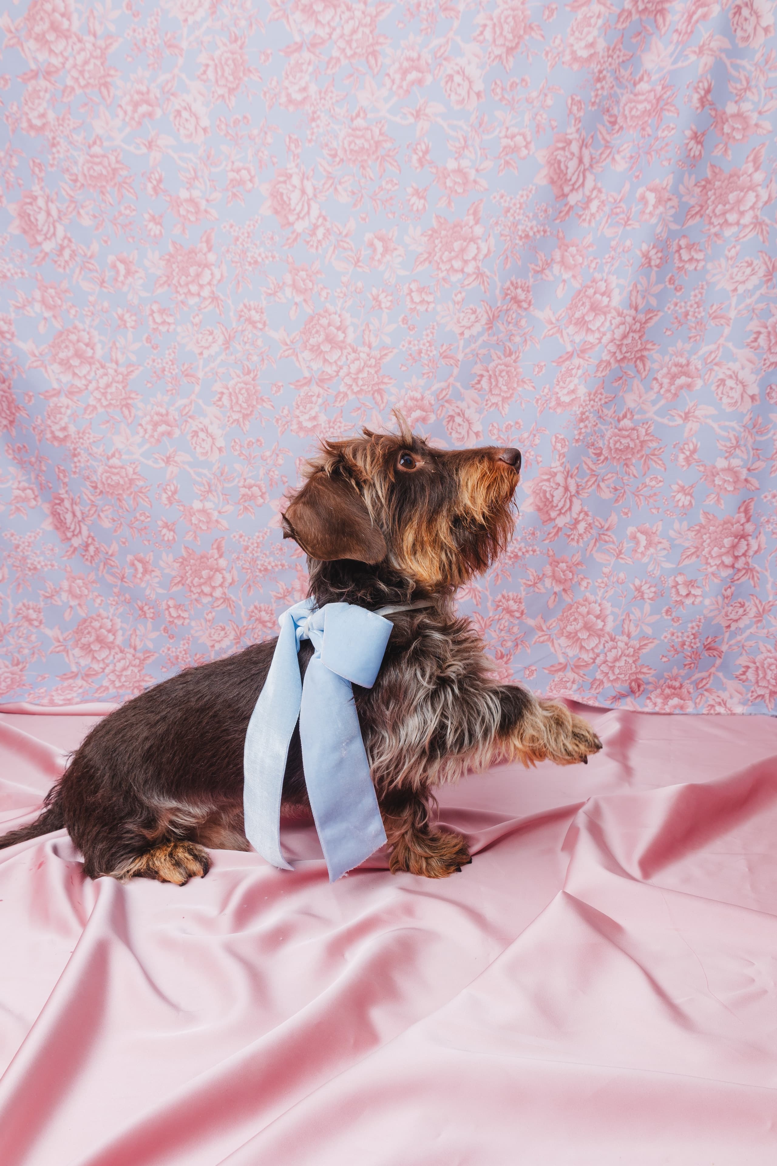Gallery cover image